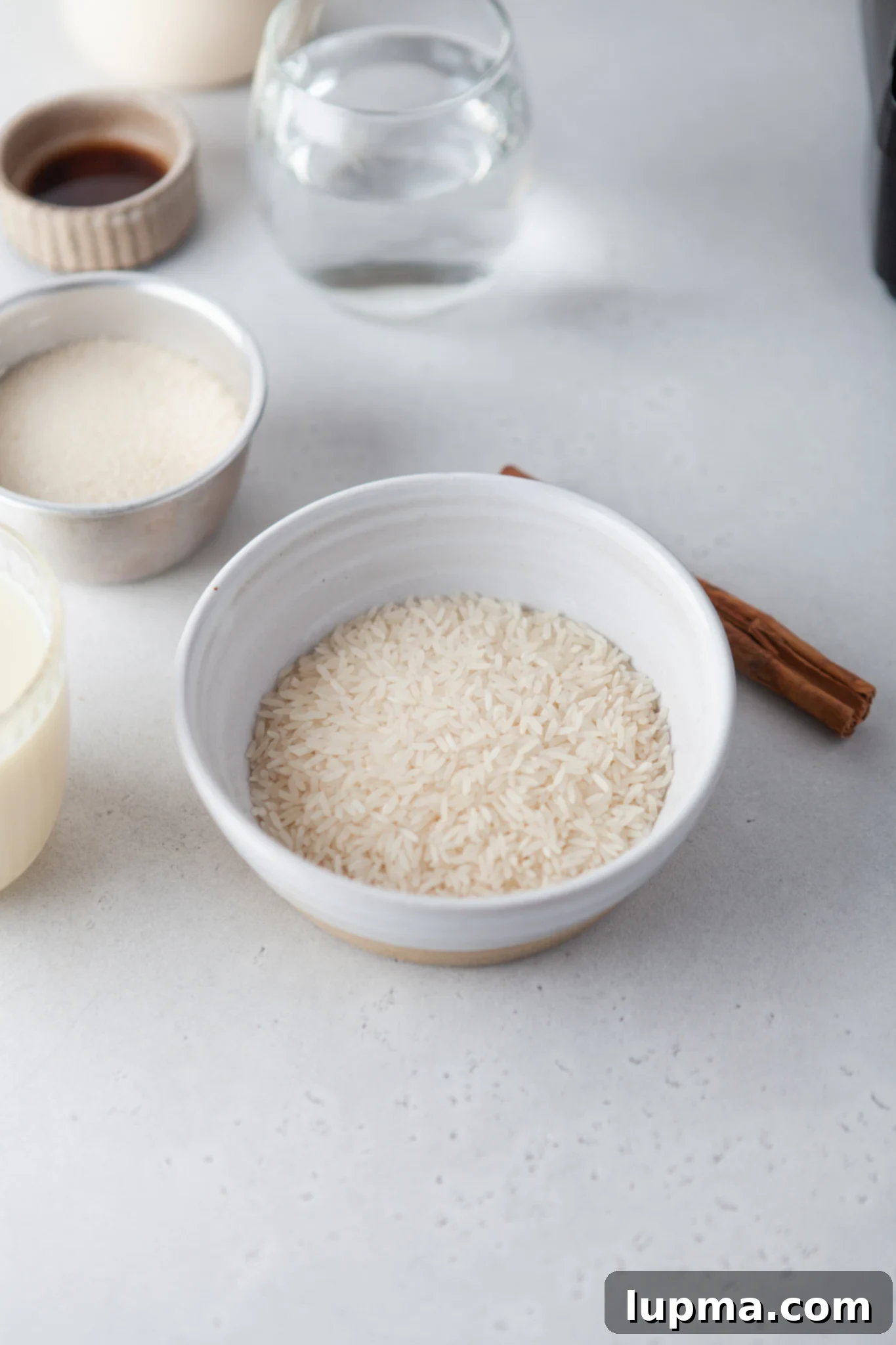 The Ultimate Horchata Recipe 3 A collection of Horchata ingredients neatly arranged, including white rice, cinnamon sticks, almonds, and cans of condensed and evaporated milk.
