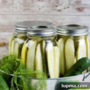 Speedy Refrigerator Dill Pickles 11 Refrigerator Dill Pickles in a jar.