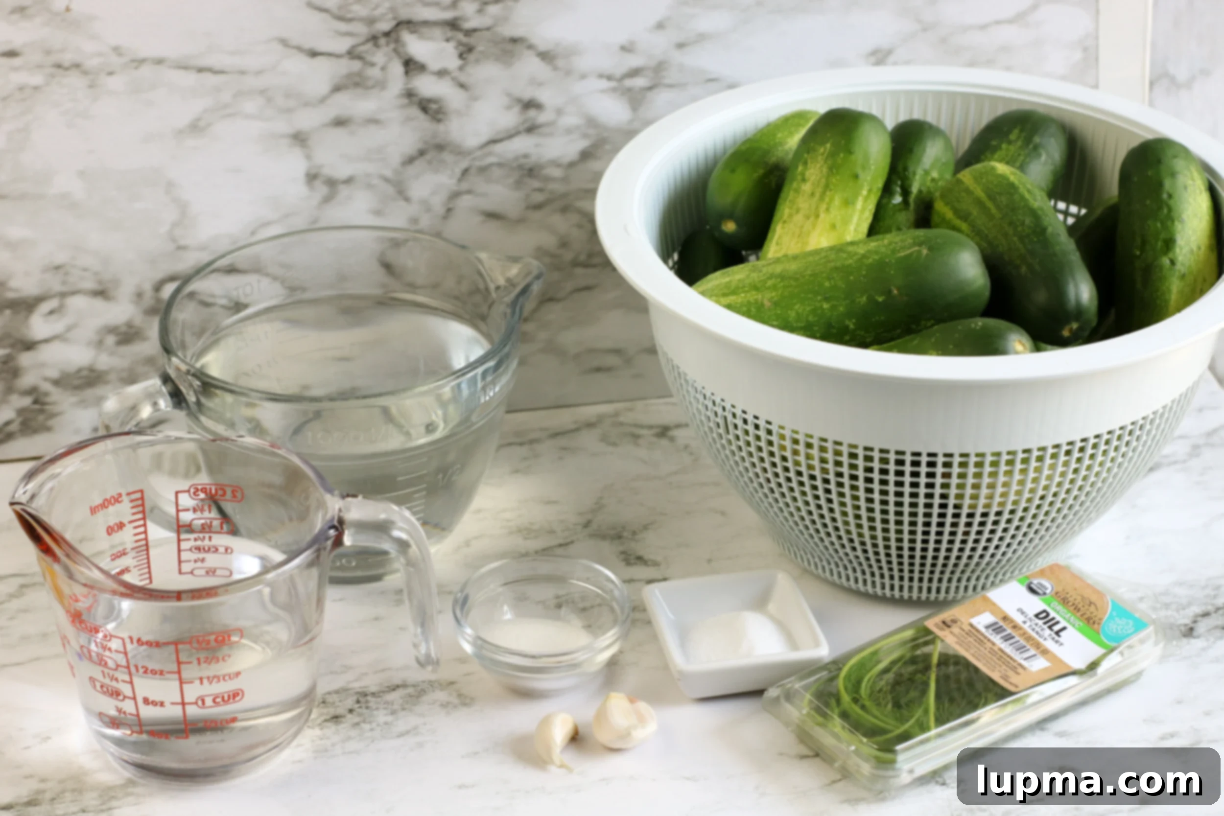 Speedy Refrigerator Dill Pickles 4 A collection of fresh ingredients laid out on a table, including cucumbers, dill, garlic, salt, sugar, and vinegar, ready for making Refrigerator Dill Pickles.