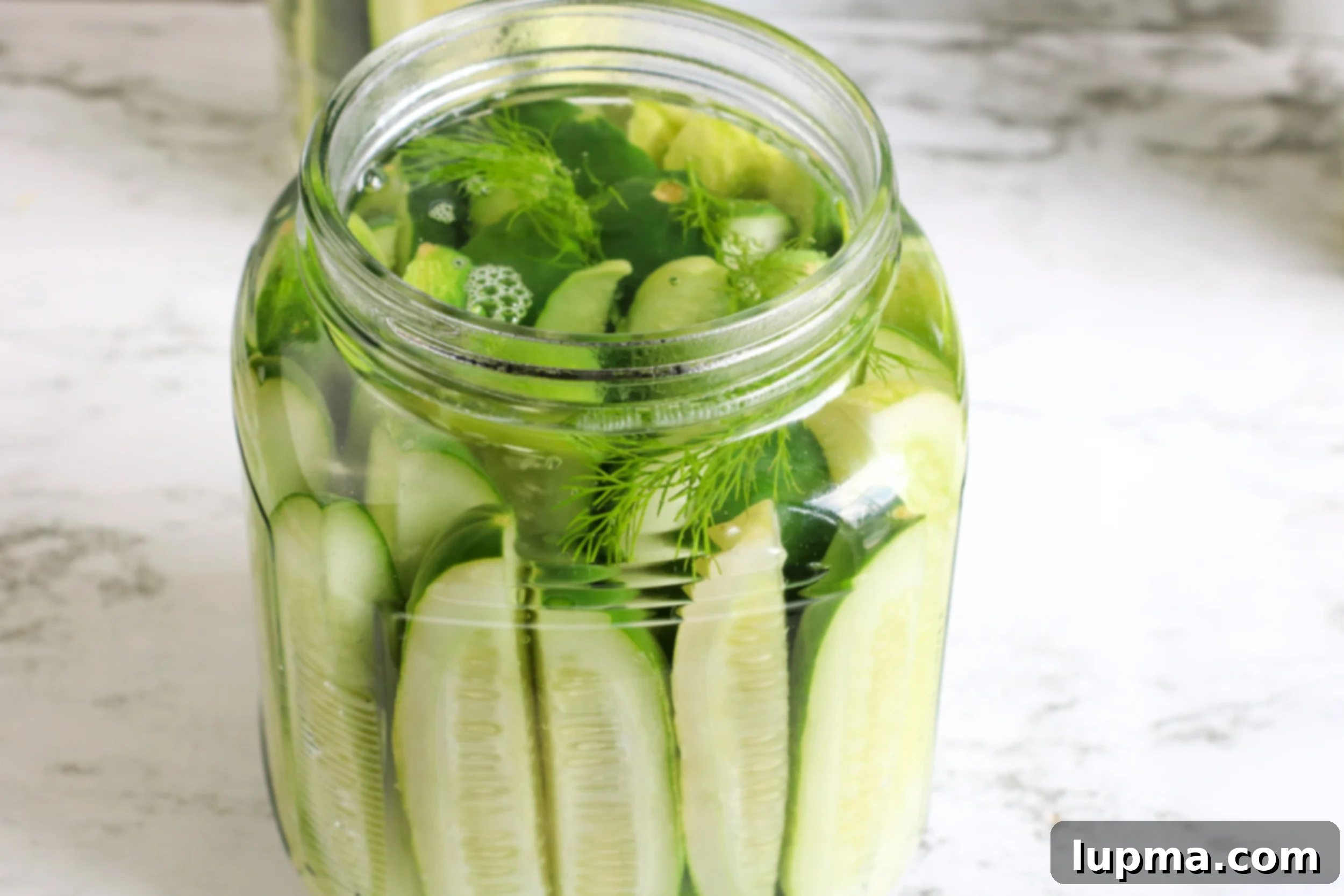 Speedy Refrigerator Dill Pickles 5 A glass jar filled with Refrigerator Dill Pickles, showcasing the neatly packed cucumber spears and fresh dill sprigs immersed in the clear pickling brine.