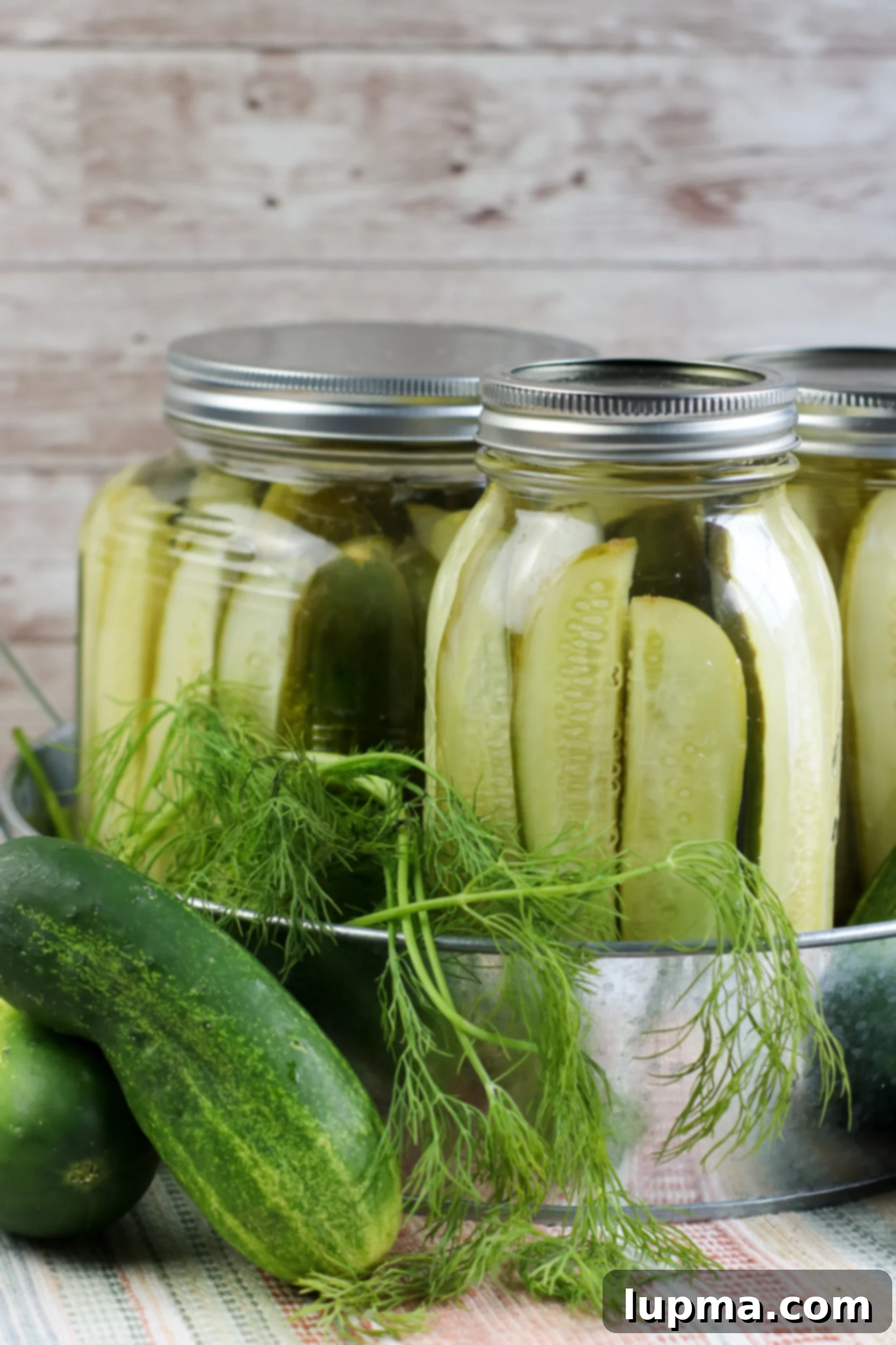 Speedy Refrigerator Dill Pickles 8 Freshly made Refrigerator Dill Pickles in a jar, garnished with a sprig of dill, ready to be enjoyed.