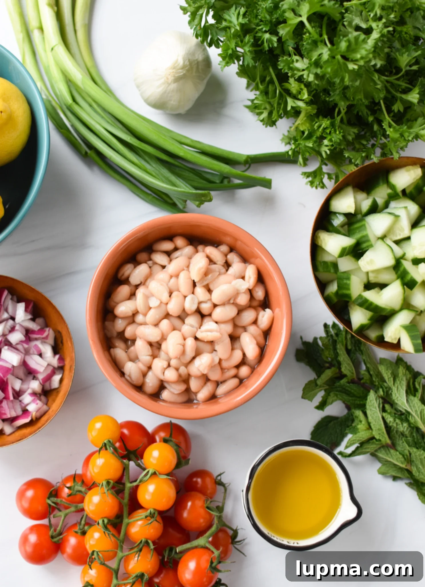Sun-Drenched White Bean Medley 3 Mediterranean White Bean Salad ingredients.