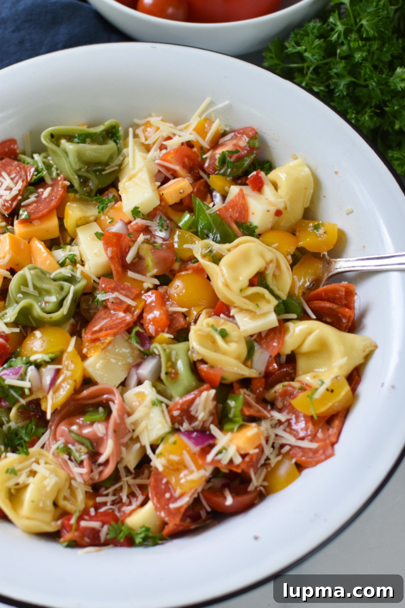Speedy Italian Tortellini Salad 2 Vibrant Easy Italian Tortellini Salad served in a large white bowl, brimming with cheese tortellini, pepperoni, tomatoes, and various cheeses, perfect for a summer gathering.