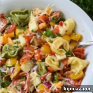 Speedy Italian Tortellini Salad 7 Italian Tortellini Salad served in a large bowl with fresh herbs and a vibrant dressing, enticing and ready to eat.