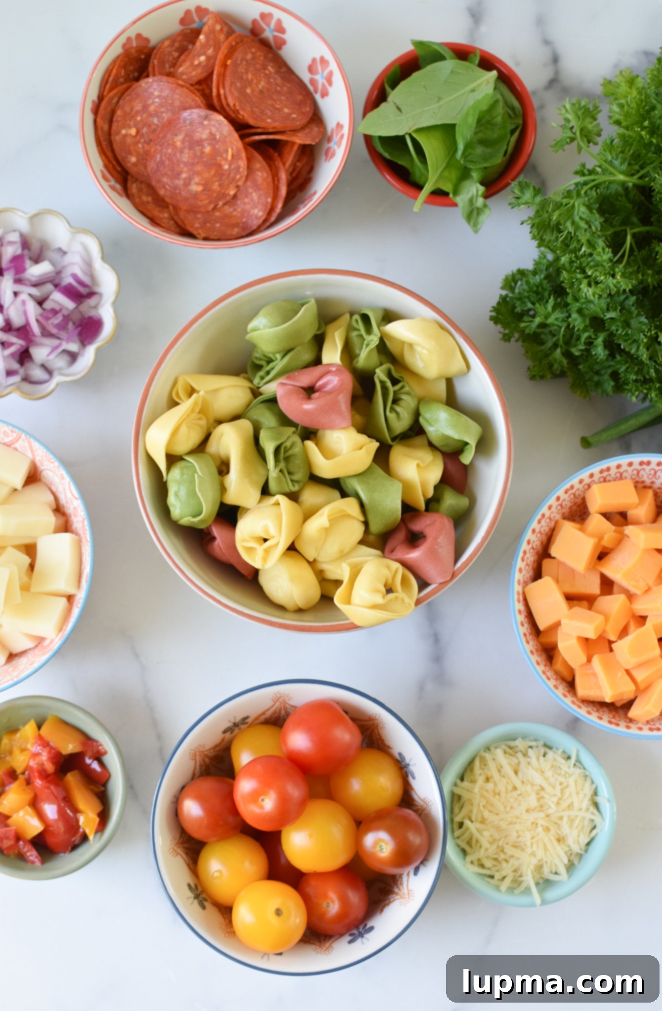 Speedy Italian Tortellini Salad 3 A flat lay composition of all the fresh ingredients required for Italian Tortellini Salad, neatly arranged including cheese tortellini, assorted cheeses, pepperoni, and a variety of colorful vegetables.