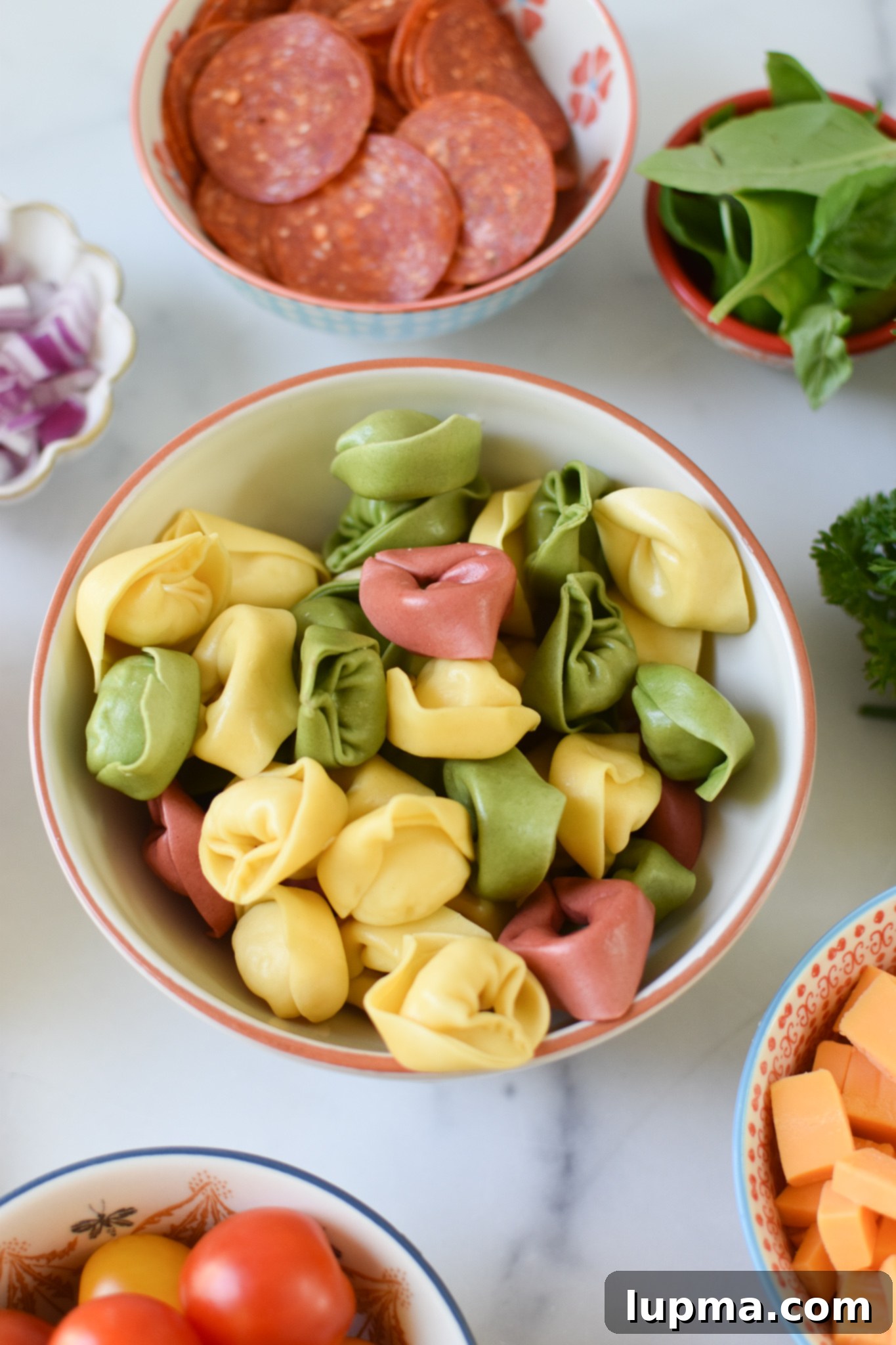 Speedy Italian Tortellini Salad 5 A small individual serving bowl featuring Italian Tortellini Salad, highlighting the cheese-filled pasta and colorful vegetables.