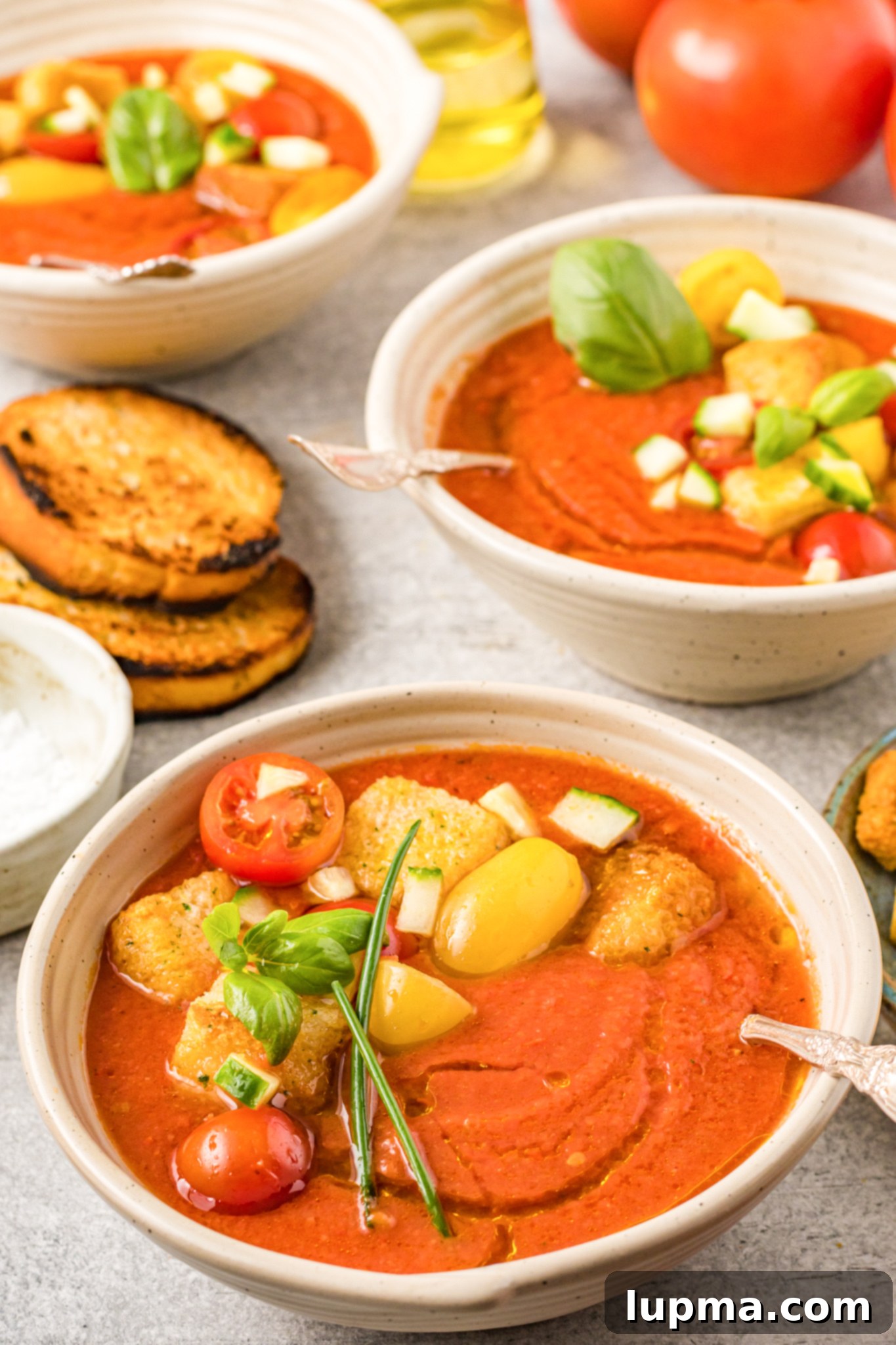 Refreshing No-Cook Gazpacho 2 Easy Gazpacho Recipe in a soup bowl.