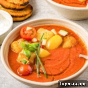 Refreshing No-Cook Gazpacho 9 Easy Gazpacho Recipe 1200 x 1200