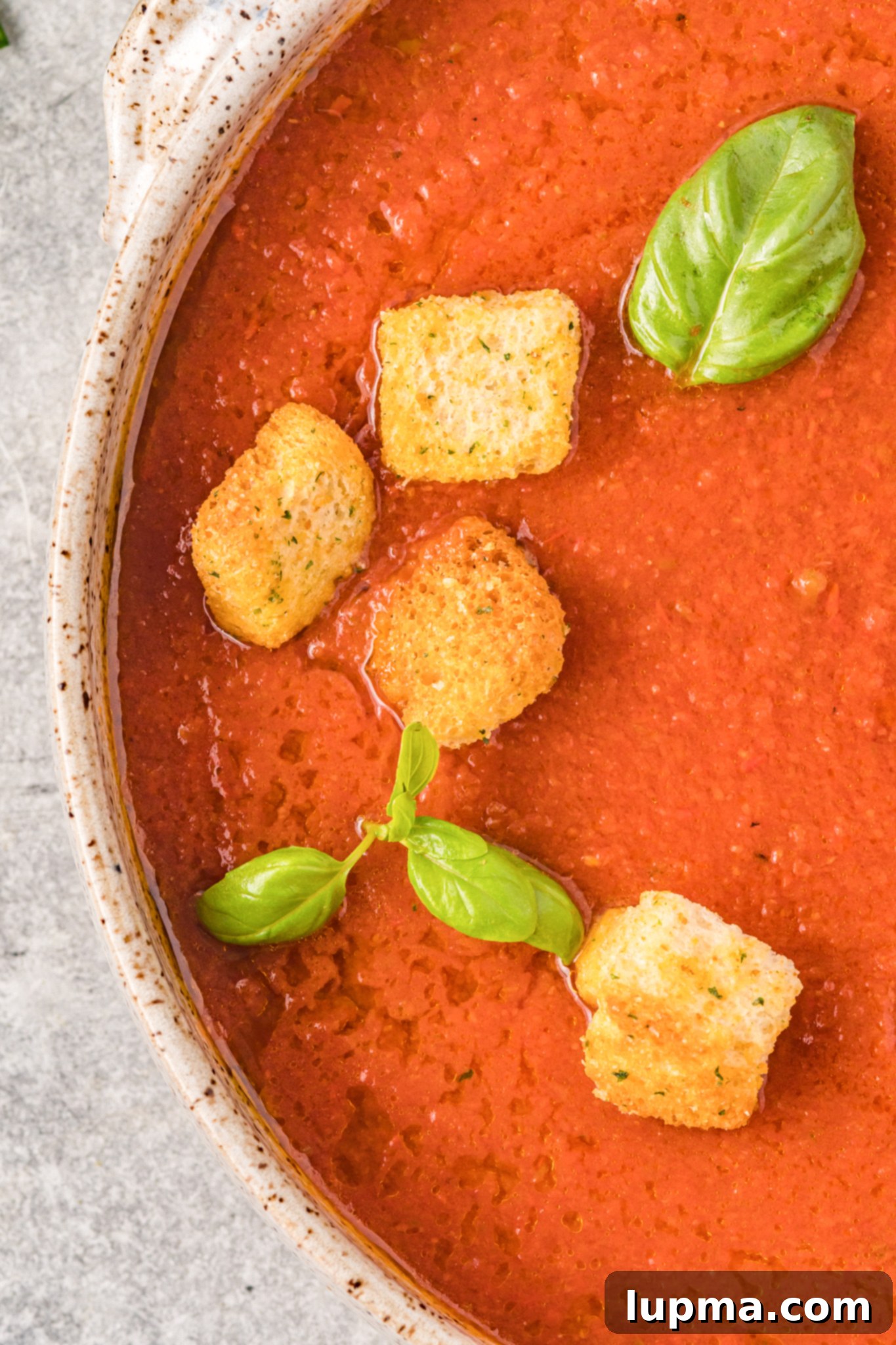Refreshing No-Cook Gazpacho 8 Easy Gazpacho Recipe with basil.