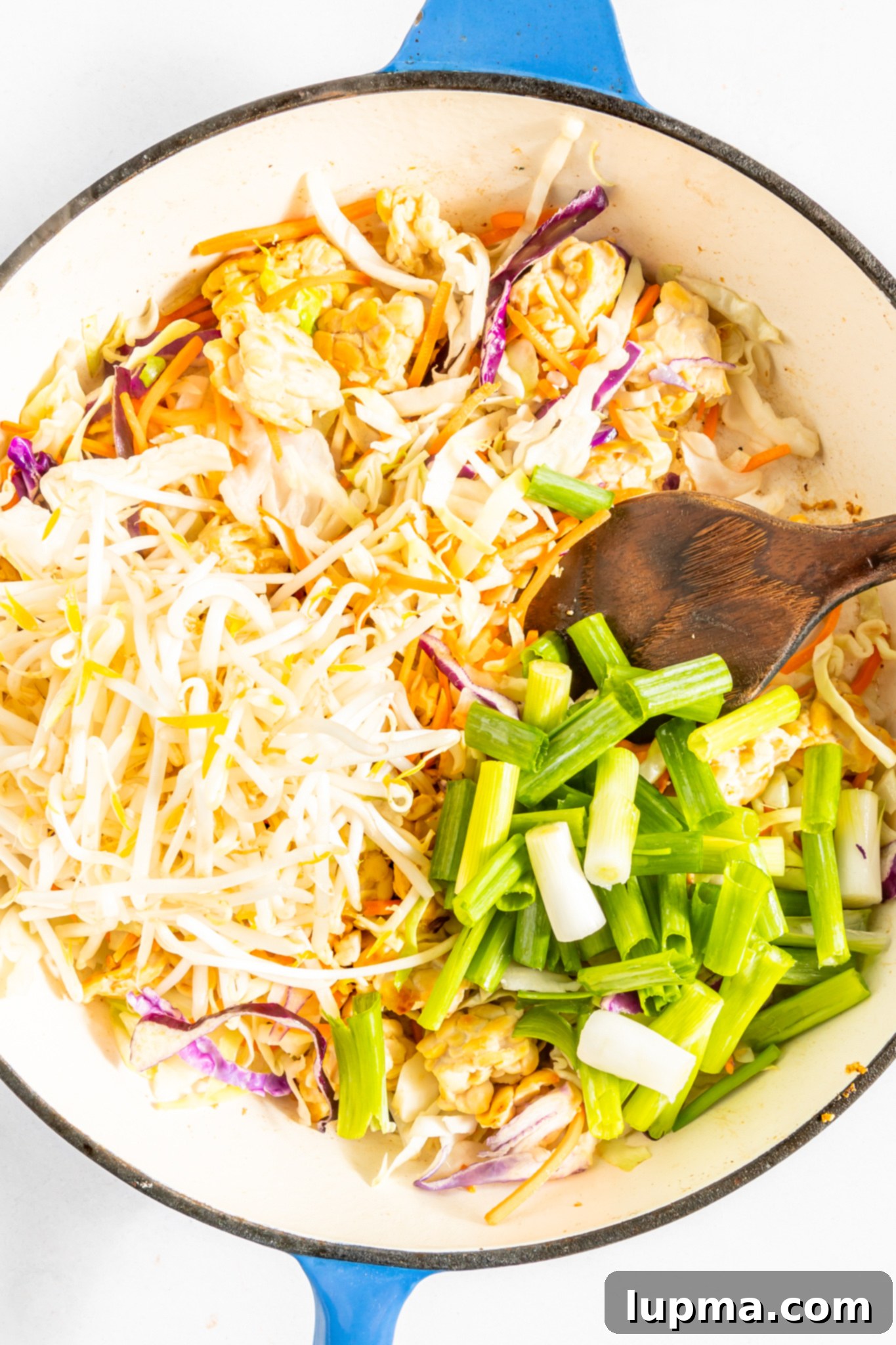 Quick Veggie Noodle Stir-Fry 6 Easy Vegetable Chow Mein ingredients in a pot.