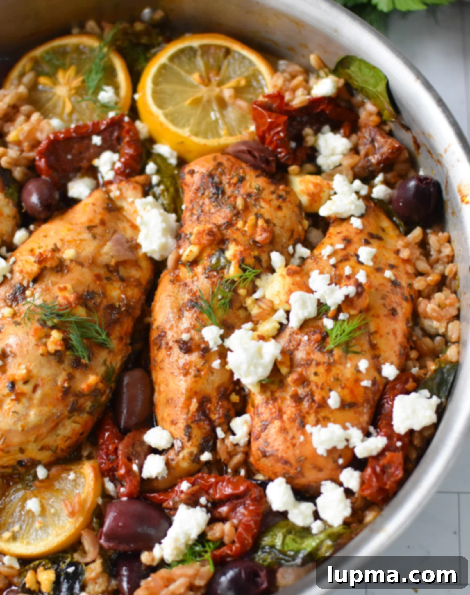 Roasted Chicken and Farro with Sun-dried Tomatoes 7 Sun-dried Tomato Farro Chicken Bake finished with feta and herbs, ready to be served.