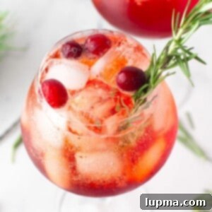 Vibrant Cranberry Aperol Spritz 9 Cranberry Aperol Spritz 1200 x 1200