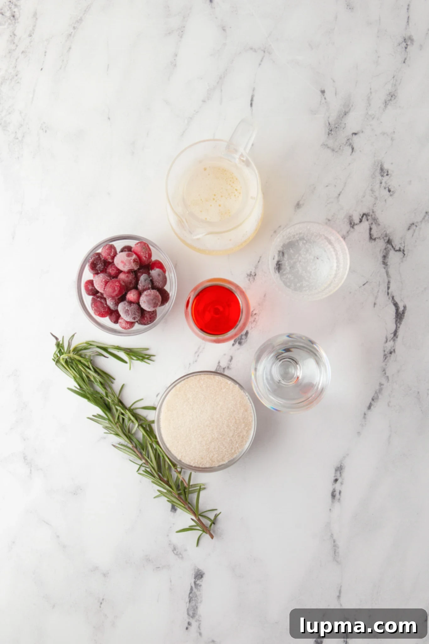 Vibrant Cranberry Aperol Spritz 3 Ingredients laid out for a Cranberry Aperol Spritz, including cranberries, Aperol, Prosecco, and rosemary.