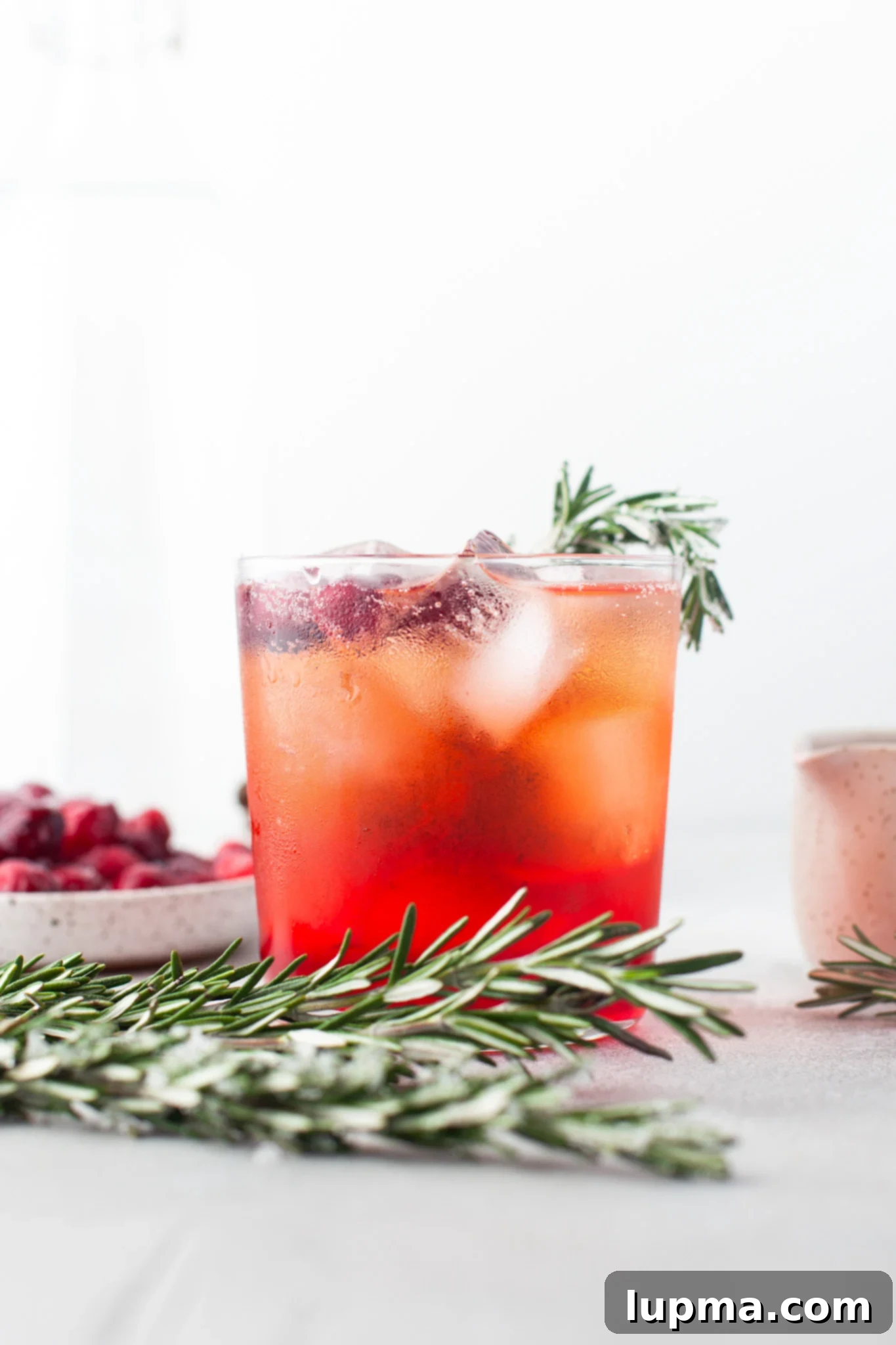 Vibrant Cranberry Aperol Spritz 4 A single Cranberry Aperol Spritz in a short glass, beautifully garnished with cranberries and rosemary.