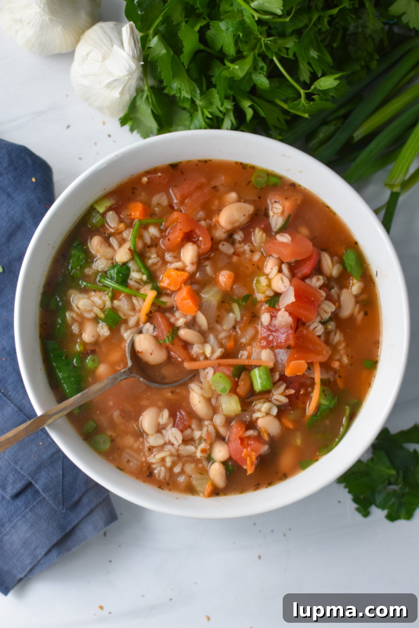 A close-up shot of Vegetable Barley Soup in a white bowl, garnished with fresh herbs, ready to be enjoyed.
