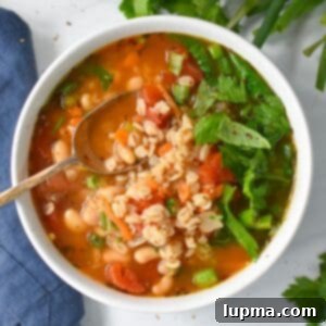 Hearty Vegetable and Barley Soup 7 Vegetable Barley Soup 1200 x 1200