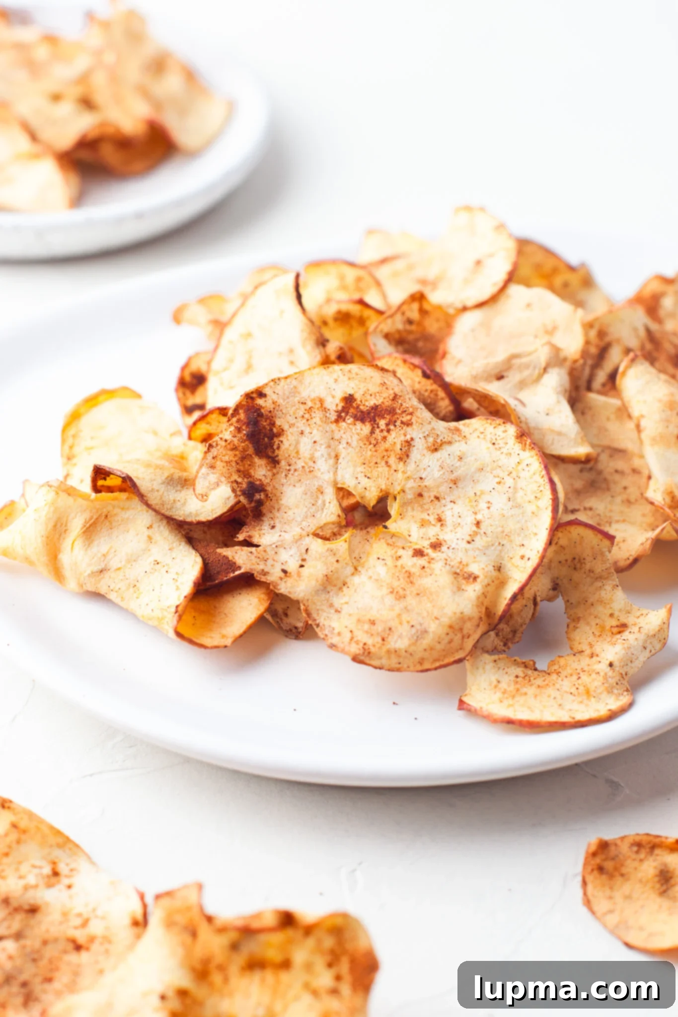 Quick & Crispy Air Fryer Apple Chips 2 Air Fryer Apple Chips on a white plate, showcasing their golden crispiness.