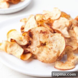 Quick & Crispy Air Fryer Apple Chips 11 Easy Air Fryer Apple Chips 1200 x 1200