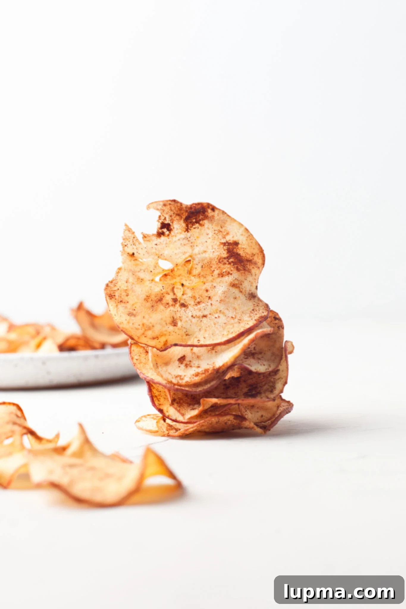 Quick & Crispy Air Fryer Apple Chips 5 Easy Air Fryer Apple Chips showing perfectly sliced apples ready for cooking.