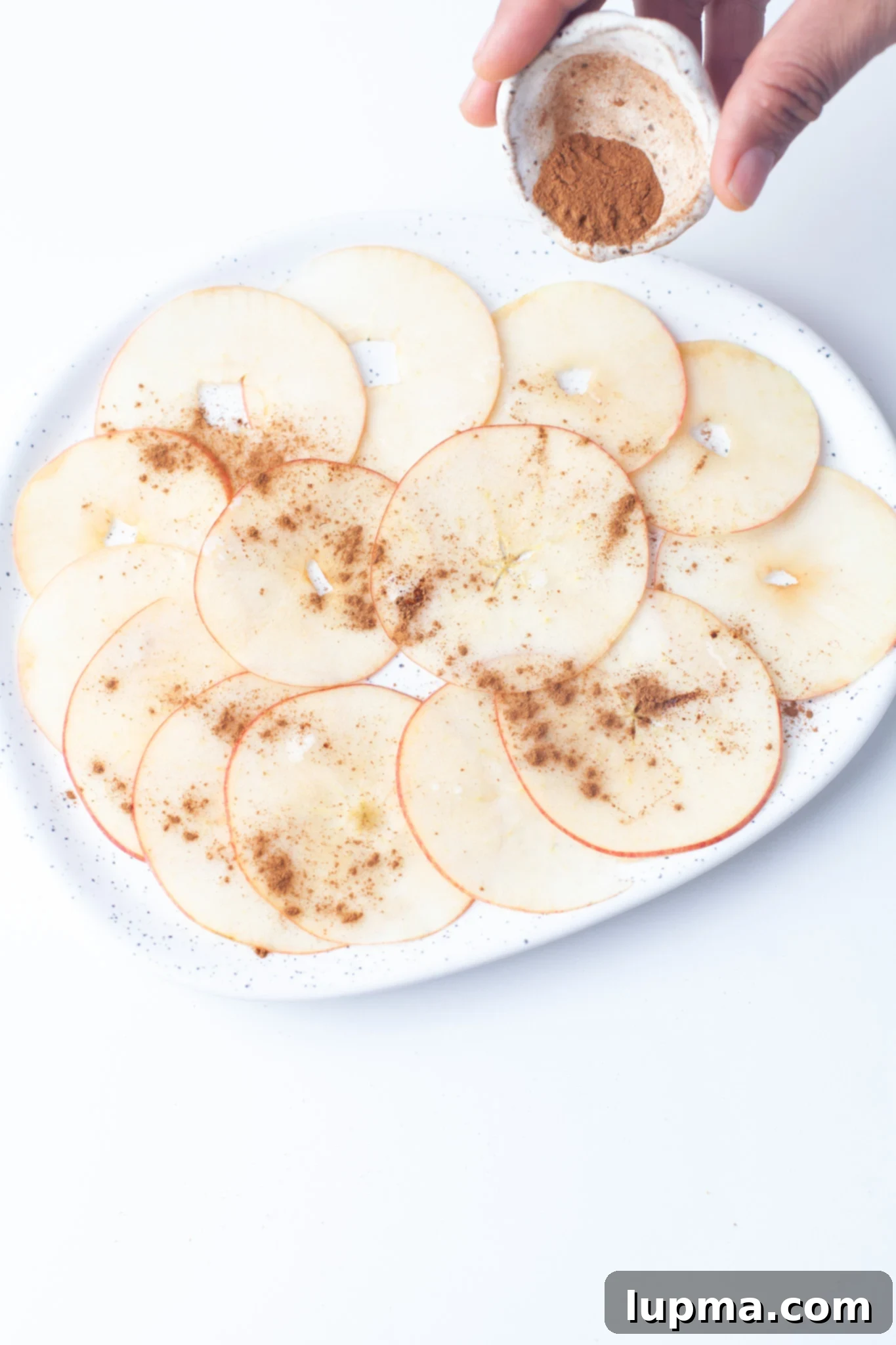 Quick & Crispy Air Fryer Apple Chips 7 Easy Air Fryer Apple Chips showing apples with spices coated.