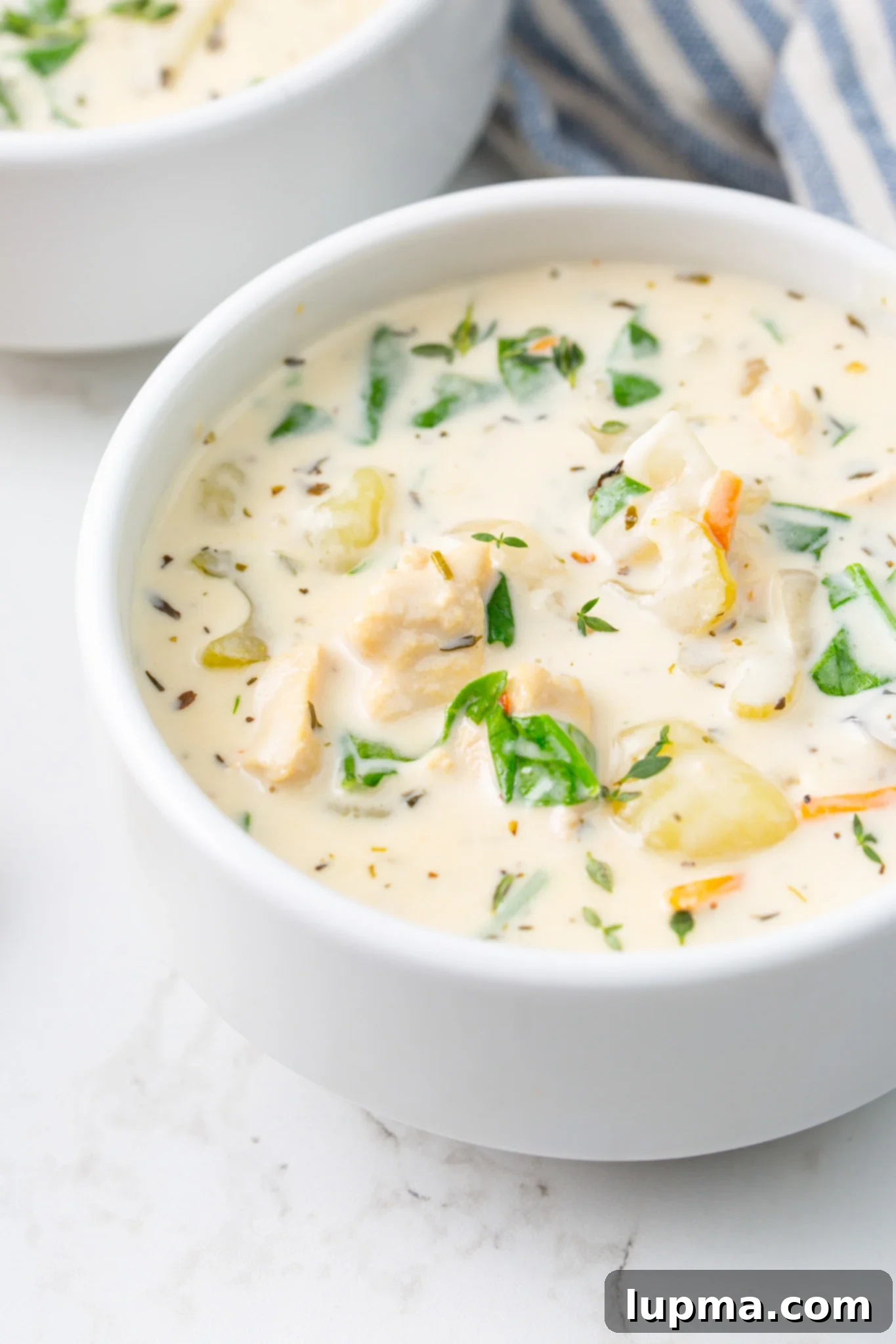 Homemade Olive Garden Style Chicken Gnocchi Soup 2 A large white bowl filled with creamy Copycat Olive Garden Chicken Gnocchi Soup, garnished with fresh herbs, showcasing the shredded chicken, tender gnocchi, and vegetables.
