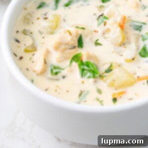 Homemade Olive Garden Style Chicken Gnocchi Soup 11 Copycat Olive Garden Chicken Gnocchi Soup in a white bowl up close