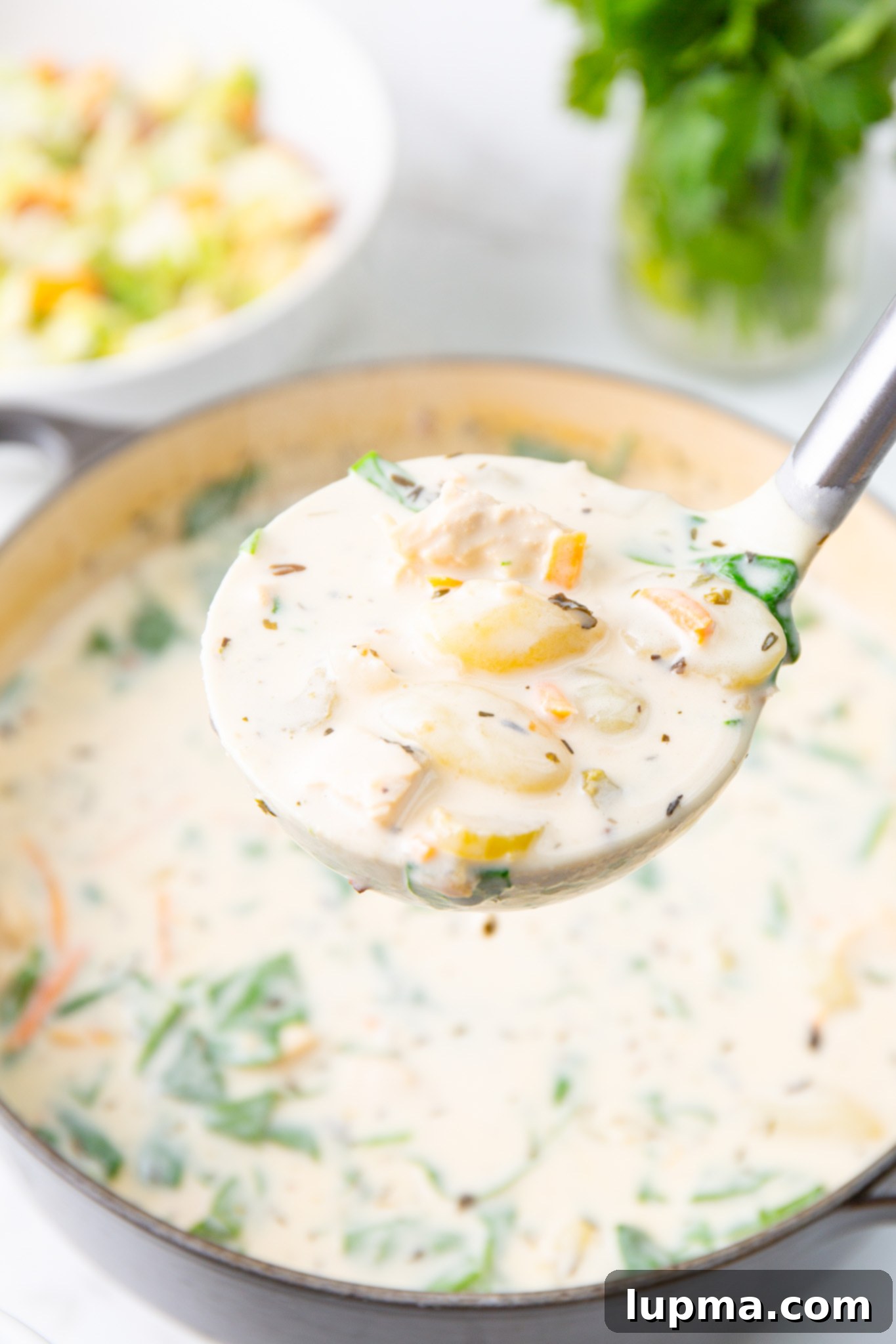 Homemade Olive Garden Style Chicken Gnocchi Soup 3 A Dutch oven filled with simmering Copycat Olive Garden Chicken Gnocchi Soup, with a ladle resting inside, ready to serve.