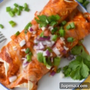 Speedy Pork Enchiladas 10 A top-down view of the Easy Pork Enchilada Recipe in a baking dish, showcasing the golden, melted cheese and rich sauce.