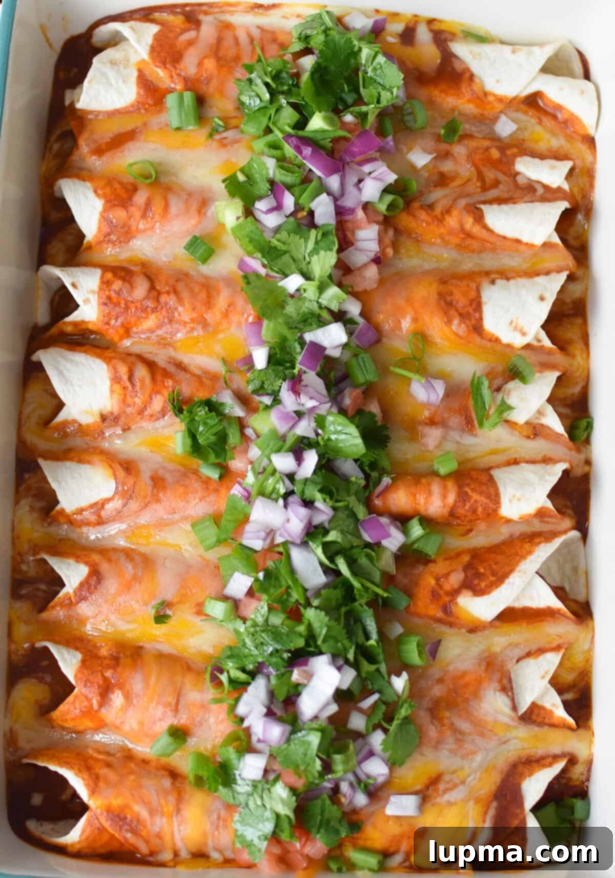 Speedy Pork Enchiladas 9 A close-up shot of a baking dish filled with perfectly cooked Pork Enchiladas, glistening with sauce and melted cheese, ready for serving.