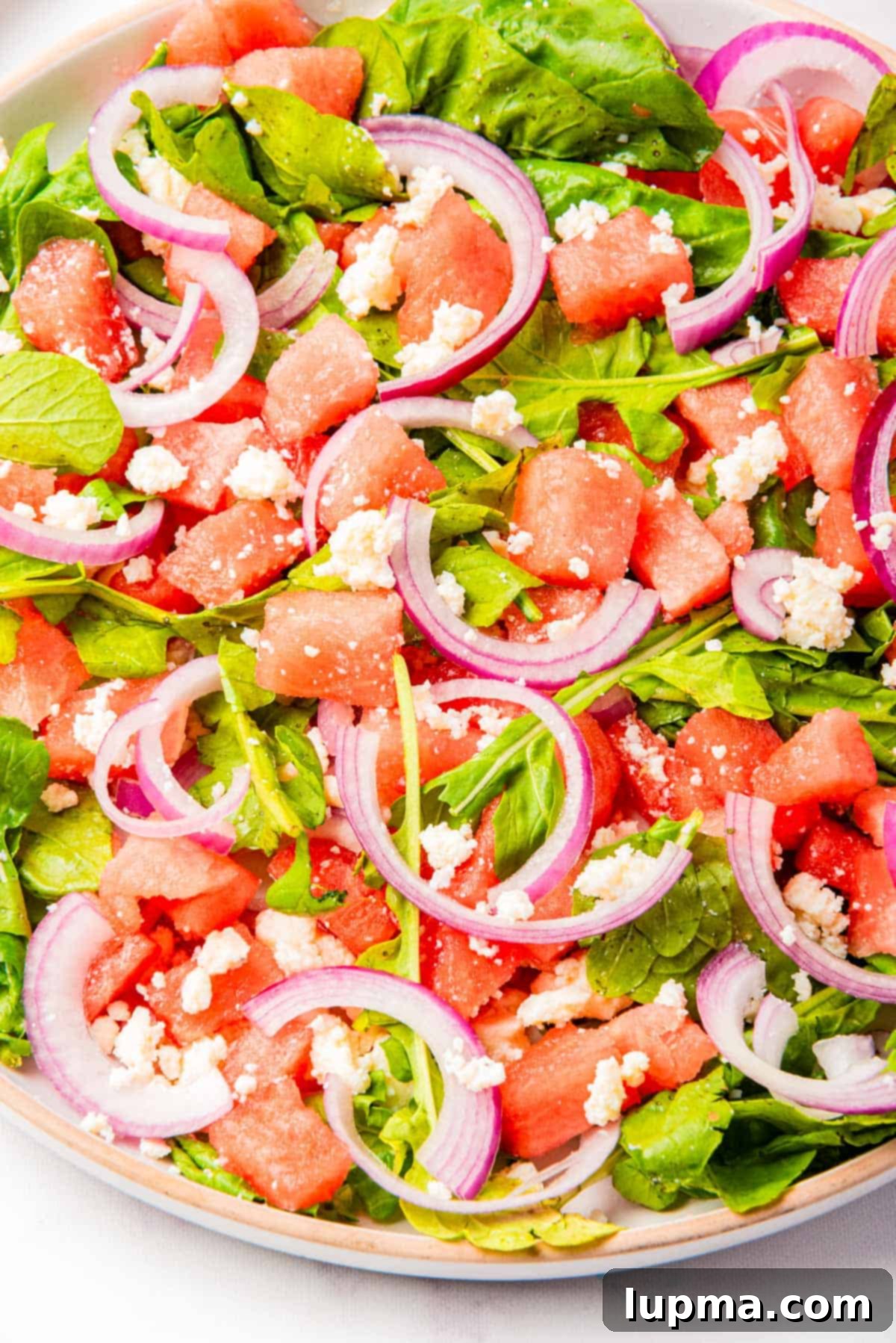 Refreshing Watermelon Arugula Medley 5 Watermelon Arugula Salad on a plate