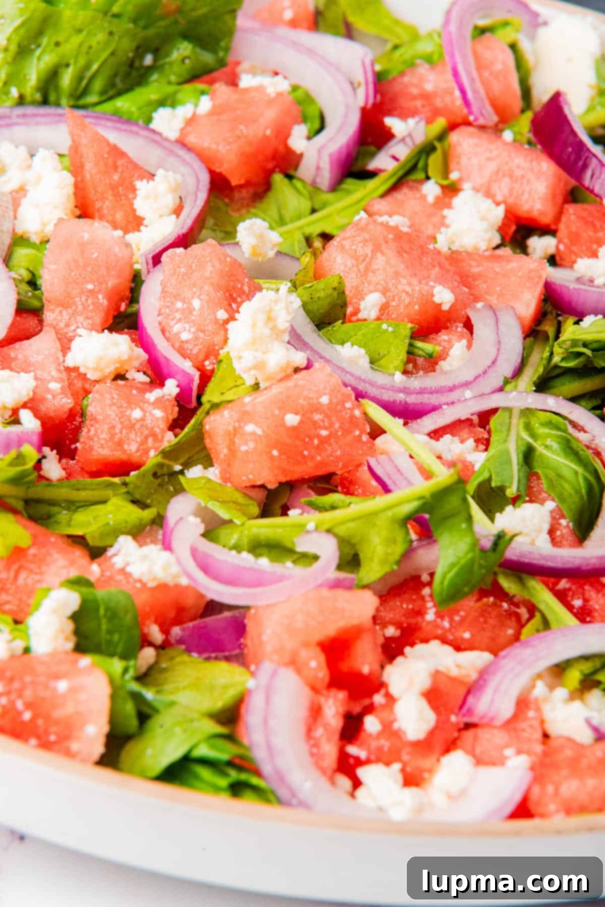Refreshing Watermelon Arugula Medley 9 Watermelon Arugula Salad on a plate