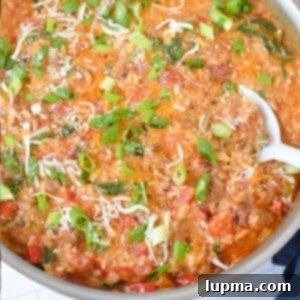 Hearty Creamy Cajun Sausage Rice Skillet 12 Creamy Cajun Sausage Rice Skillet 1200 x 1200