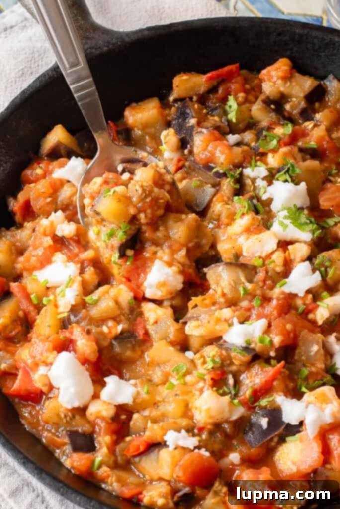 Rustic Skillet Eggplant and Tomatoes 2 Skillet Tomato and Eggplant in a skillet