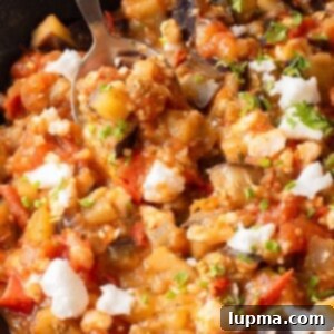 Rustic Skillet Eggplant and Tomatoes 8 Skillet Tomato and Eggplant 1200 x 1200