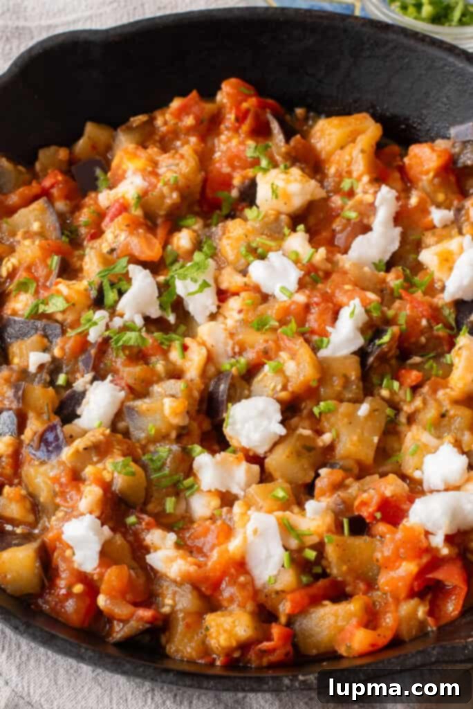 Rustic Skillet Eggplant and Tomatoes 7 Skillet Tomato and Eggplant in skillet