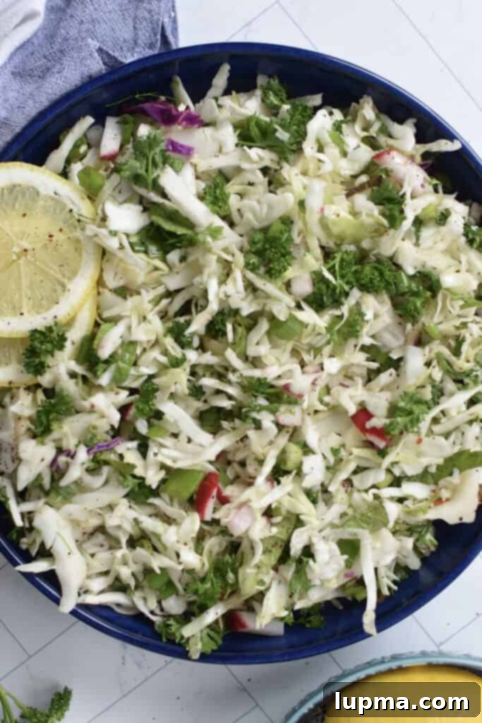Fresh Lebanese Cabbage Slaw 2 Vibrant Malfouf Salad, a fresh Lebanese cabbage salad, served in a blue bowl with a lemon slice garnish, showcasing its refreshing appeal.