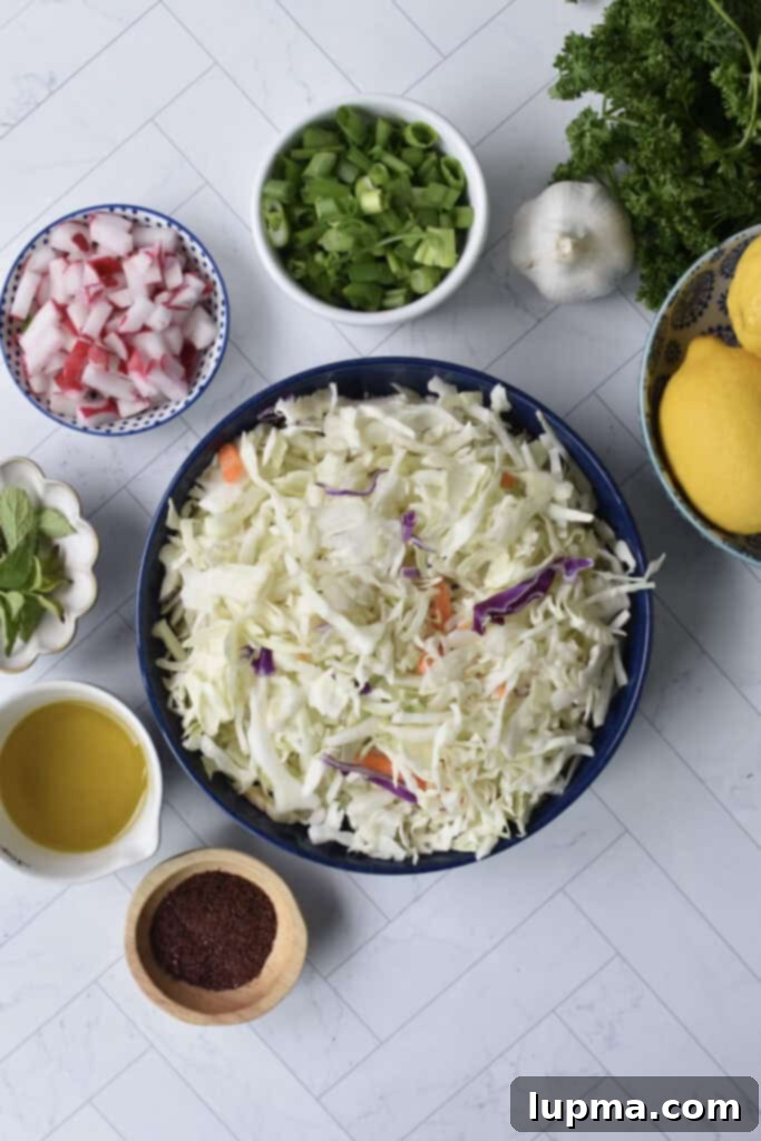 Fresh Lebanese Cabbage Slaw 5 Fresh ingredients laid out for Malfouf Salad recipe including shredded cabbage, radishes, green onions, and mint.