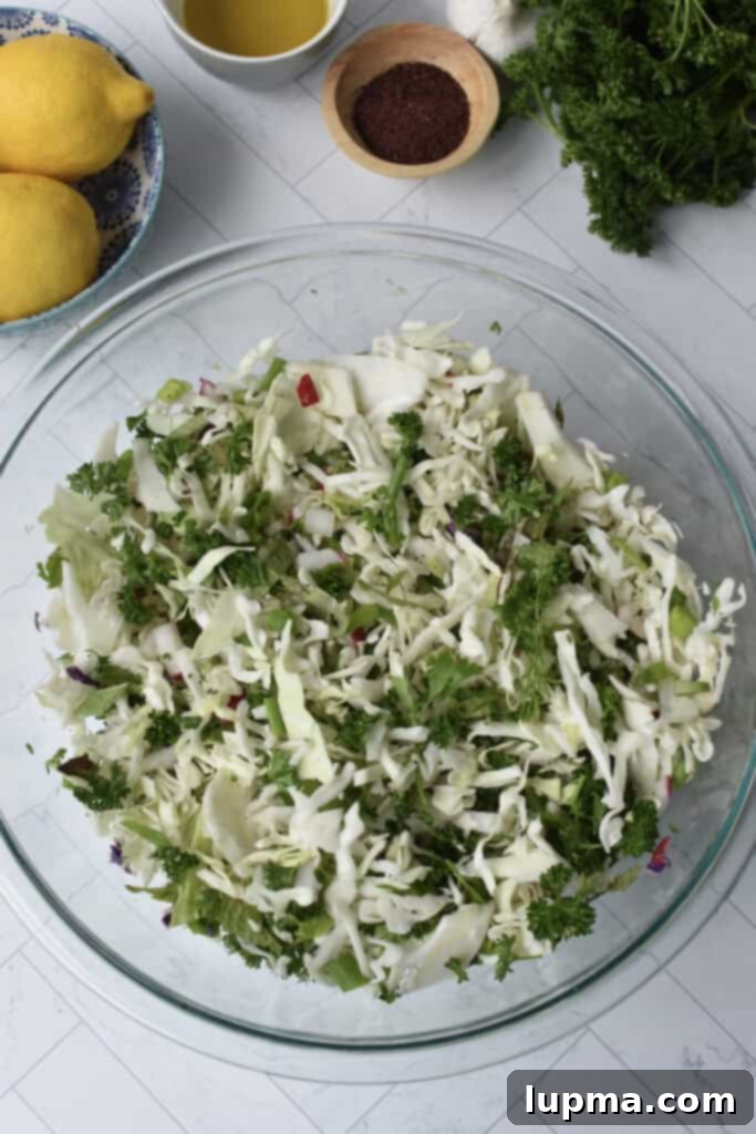 Fresh Lebanese Cabbage Slaw 9 Malfouf Salad adorned with fresh herbs, presented beautifully in a bowl, highlighting its vibrant green colors.
