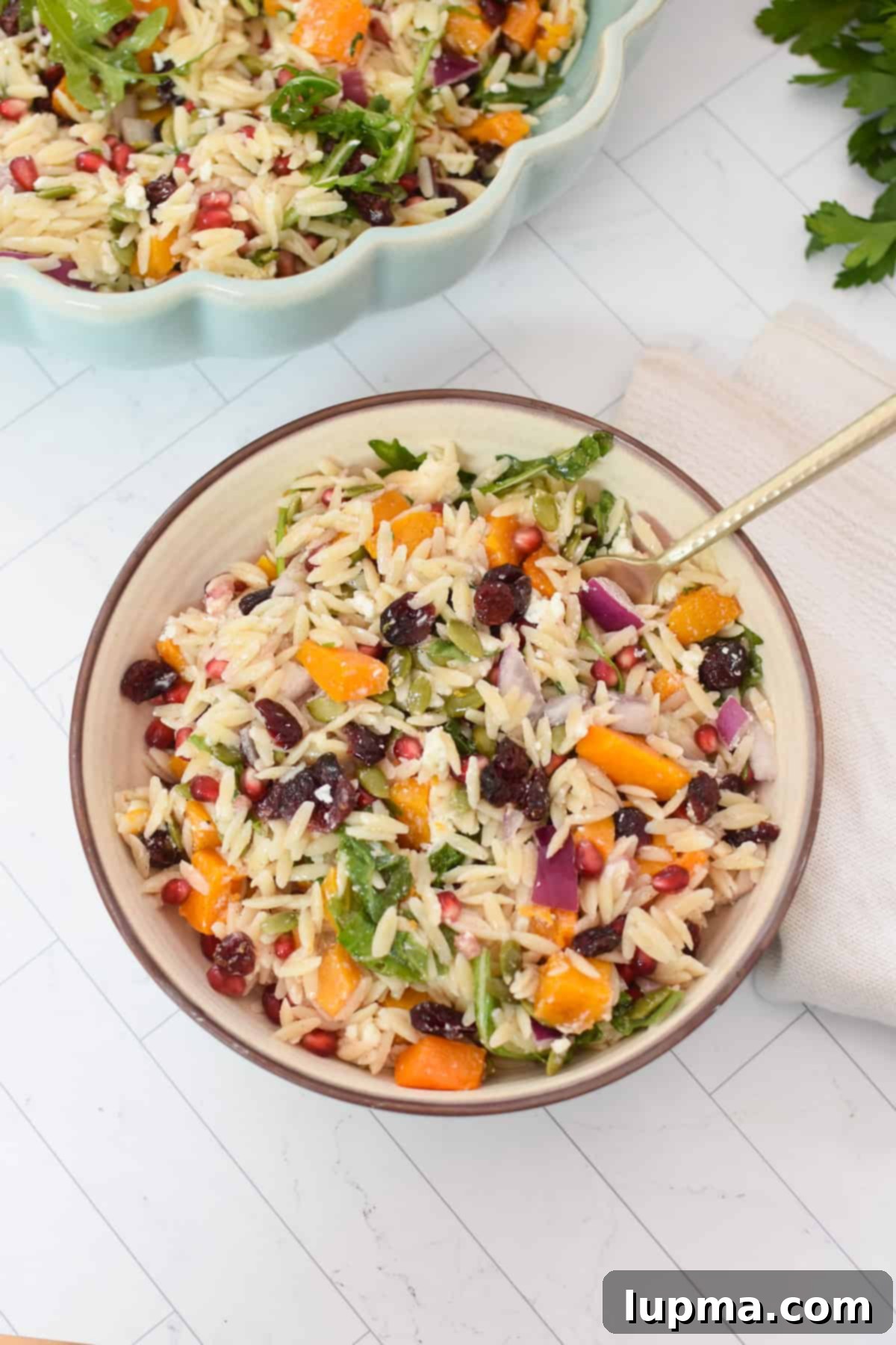 Hearty Autumn Orzo Salad 13 A serving of Fall Orzo Pasta Salad in a small white bowl, garnished with a sprig of fresh herbs.