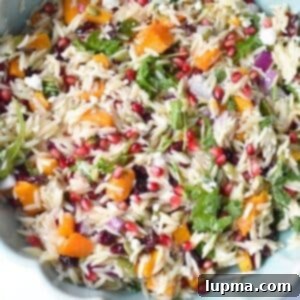 Hearty Autumn Orzo Salad 14 Fall Orzo Pasta Salad in a bowl, a perfect autumn dish.