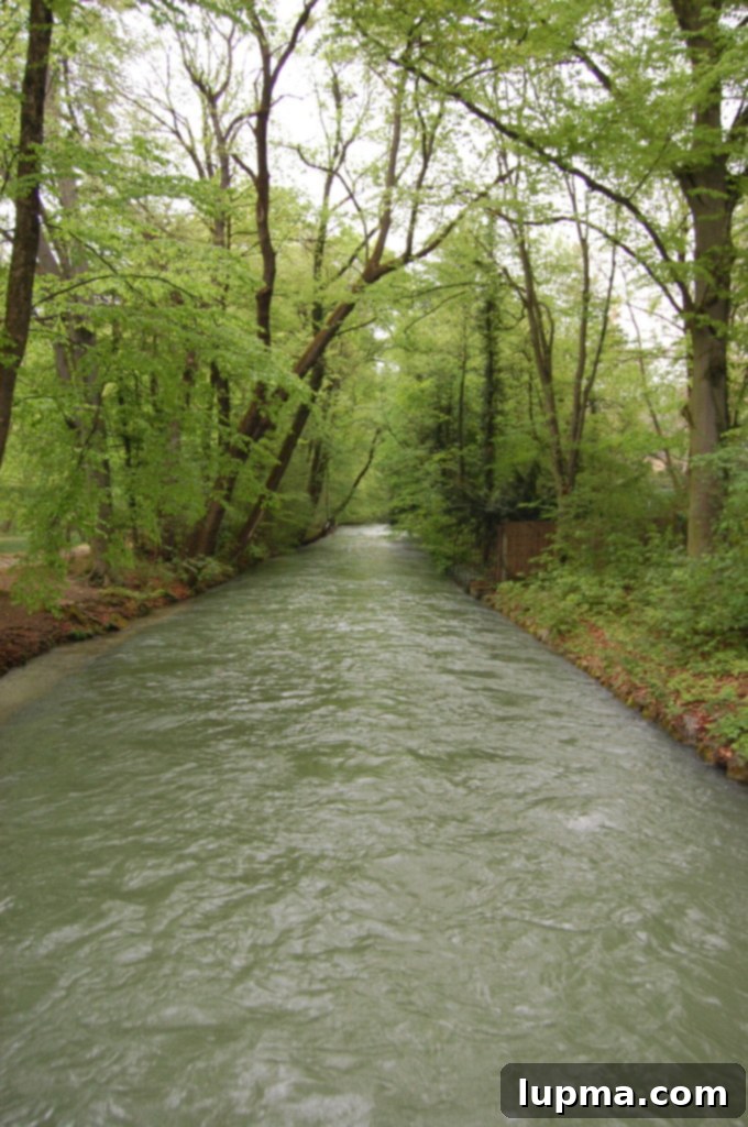 Scenic view of the Englischer Garten with a bridge and lush greenery in Munich