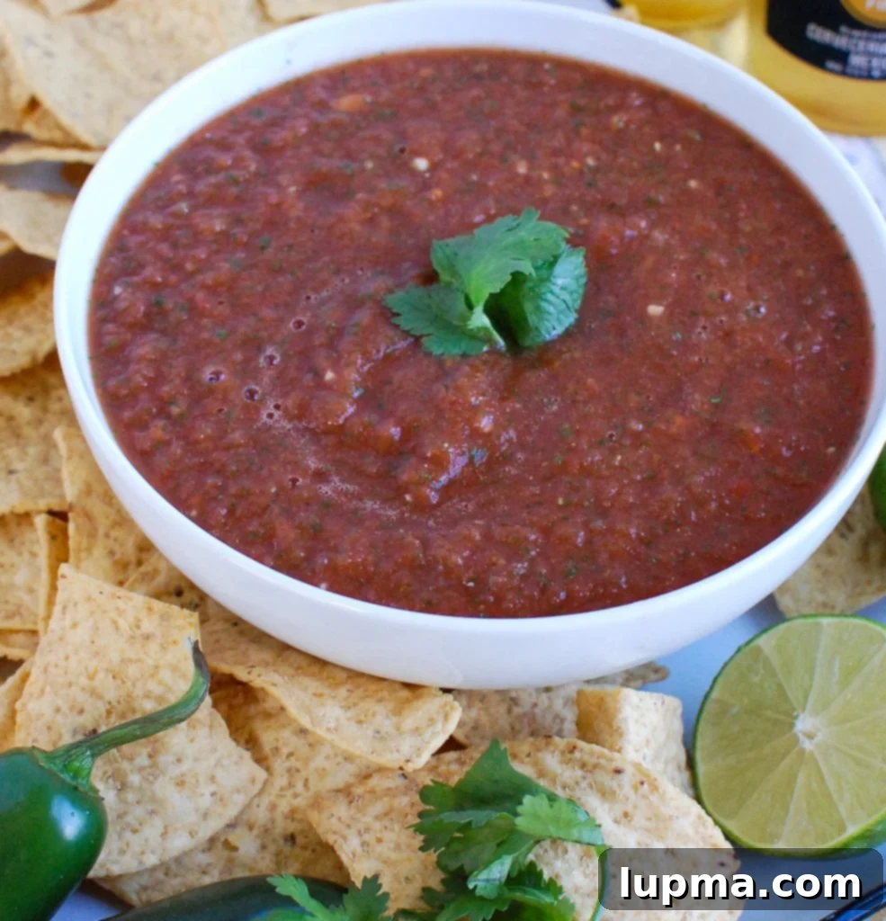 Zesty Homestyle Salsa 3 Homemade Salsa with cilantro