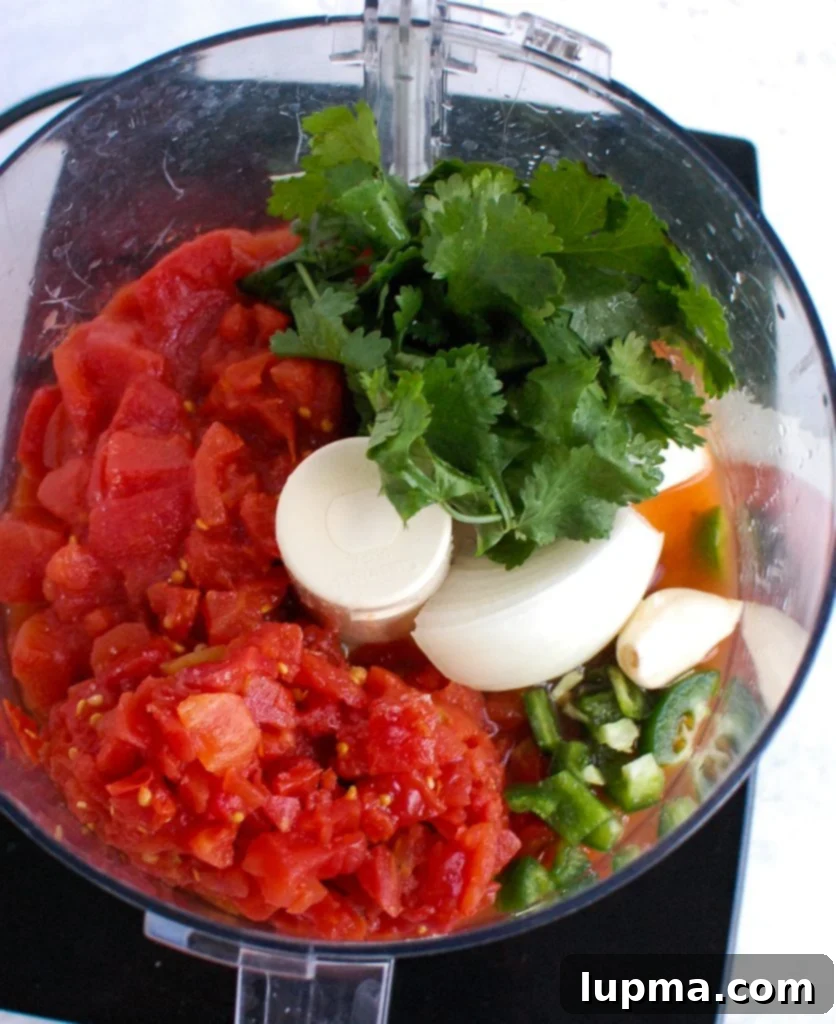 Zesty Homestyle Salsa 4 Homemade Salsa ingredients