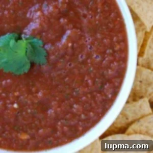 Zesty Homestyle Salsa 6 img 9717 9