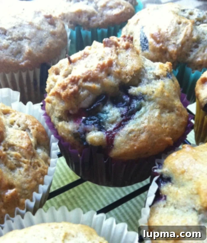 Freshly baked Cinnamon Yogurt Blueberry Muffins, perfect for breakfast or snack