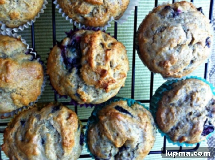 Close-up of a delicious Cinnamon Yogurt Blueberry Muffin, showing moist texture