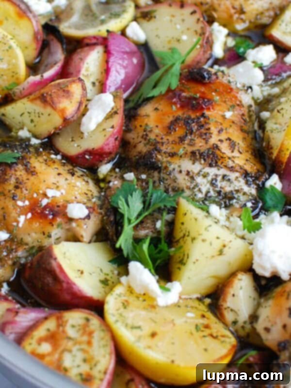 Greek Lemon Chicken