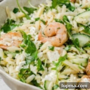 Shrimp Orzo Salad 1200 x 1200