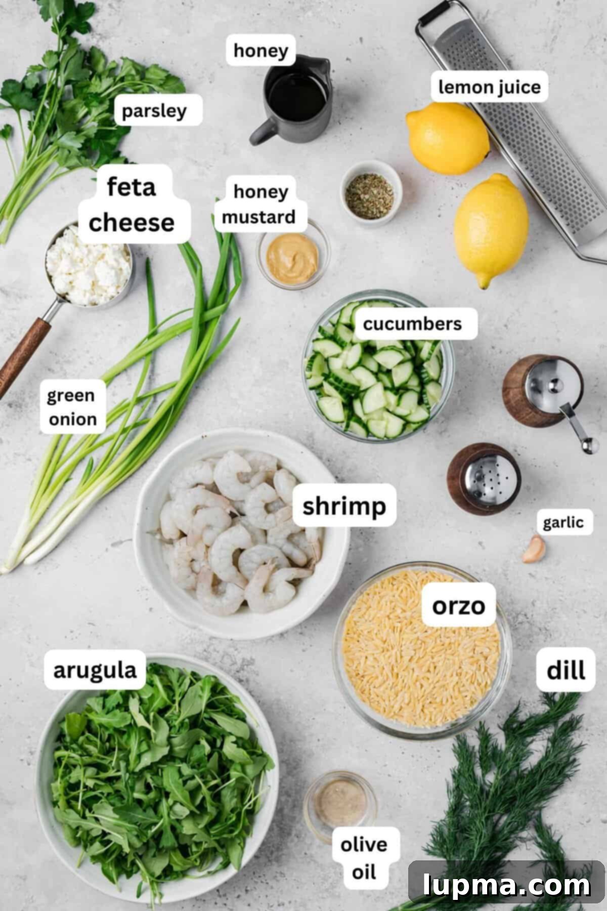 Shrimp Orzo Salad with Lemon-Dill Dressing 6 Shrimp Orzo Salad recipe ingredients