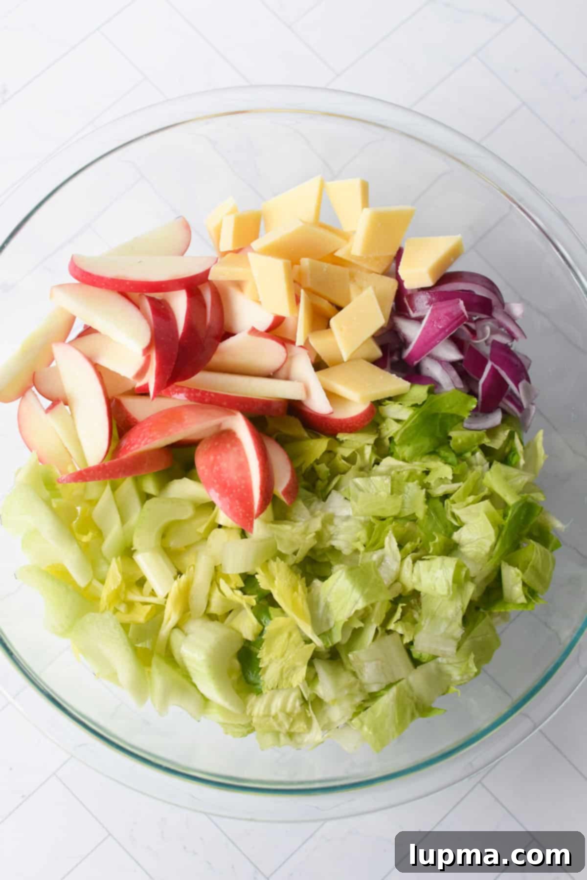 Apple and Celery Crunch: A Refreshing Salad Recipe 7 apple and celery salad in a white bowl ingredients